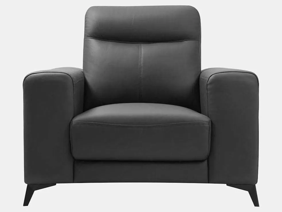 Store Fauteuil Van Leer Montaner - Zwart Fauteuil Leer