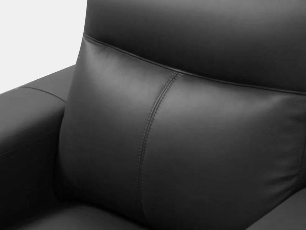 Store Fauteuil Van Leer Montaner - Zwart Fauteuil Leer