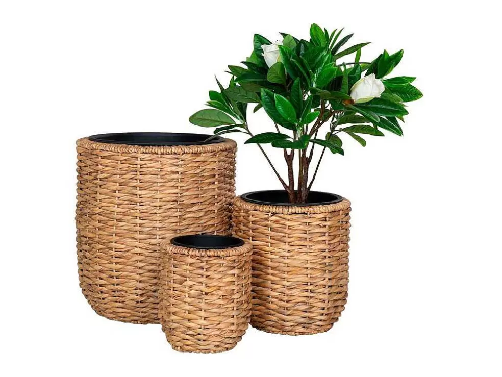 Hot Hanoi Planten Schuilplaatsen Set Van 3 Stuks. Buitenshuis Naturel. Decoratieobject Voor Binnen