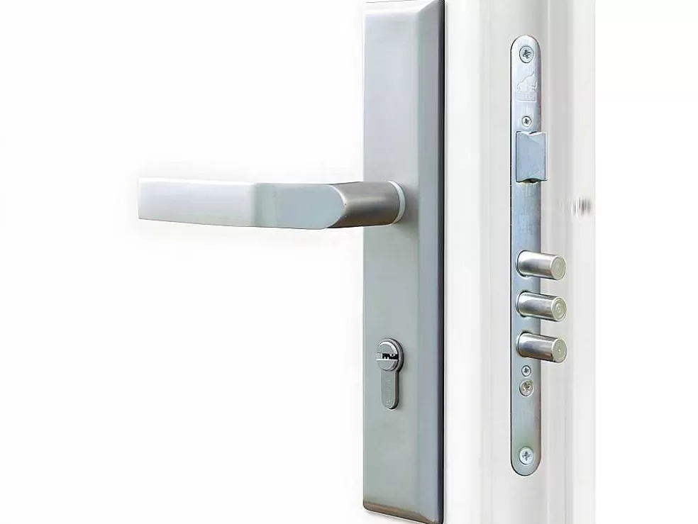 Store Toegangsdeur Van Geglazuurd En Roestvrij Staal H207 X B100 Cm Antraciet - Rechter Deur - Tifana Voordeur