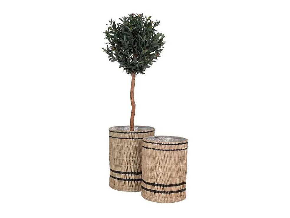 Sale Vinh Planten Schuilplaatsen Set Van 2 Stuks. Buitenshuis Naturel. Decoratieobject Voor Binnen